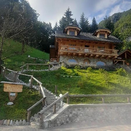 Natur Apartma Rudi Begunje na Gorenjskem Exterior photo