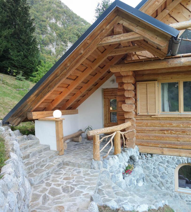 Natur Apartma Rudi Begunje na Gorenjskem Exterior photo