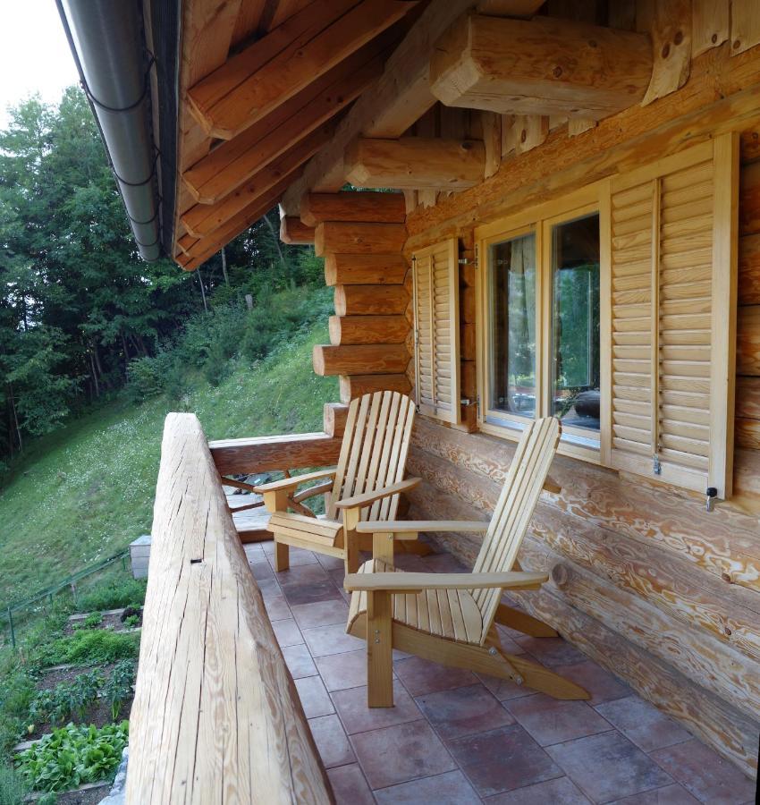 Natur Apartma Rudi Begunje na Gorenjskem Exterior photo